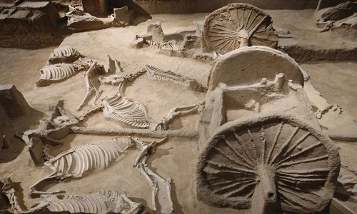 Tianzi-Jialiu-Museum